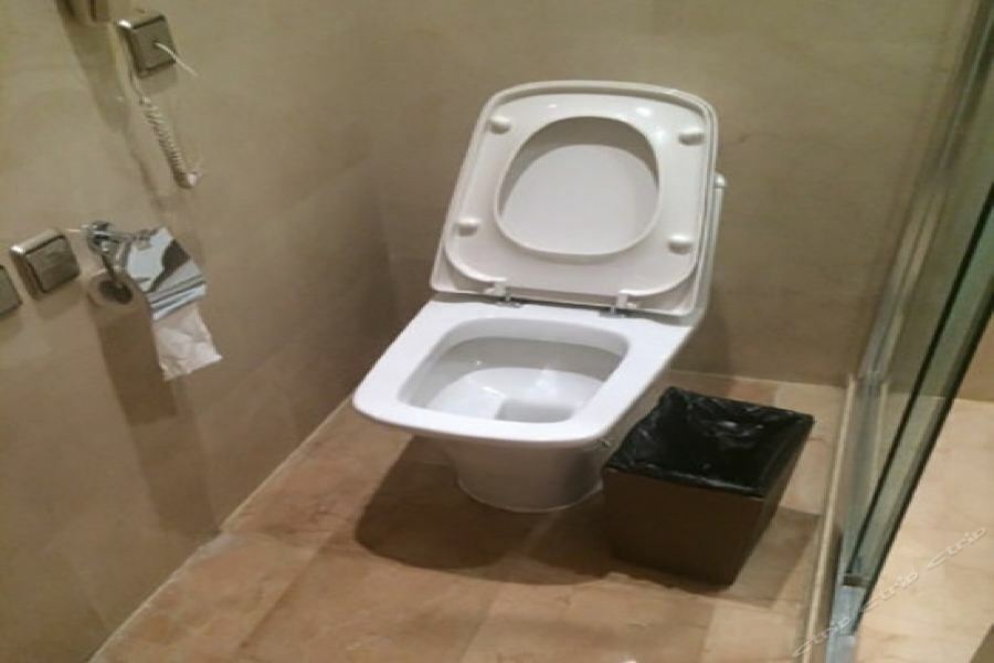 Ritan Downtown Hotel 5*