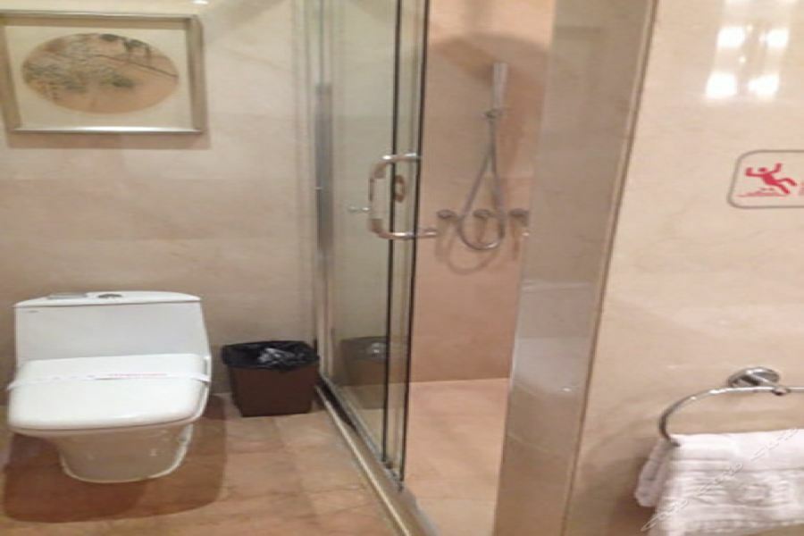 Ritan Downtown Hotel 5*